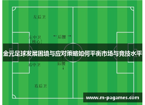金元足球发展困境与应对策略如何平衡市场与竞技水平