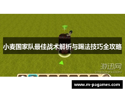 小麦国家队最佳战术解析与踢法技巧全攻略