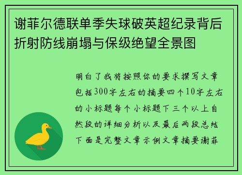 谢菲尔德联单季失球破英超纪录背后折射防线崩塌与保级绝望全景图 谢菲尔德联单季失球破英超纪录背后折射防线崩塌与保级绝望全景图